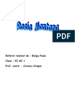 Rosia Montana