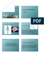 Educacion y Neurociencia Los Desafios de Una Convergencia Necesaria