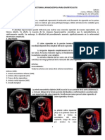 1601150118.sigmoidectomia Laparoscópica para Diverticulitis