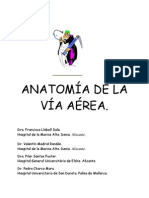 Tema 2. Anatomia de La VA.