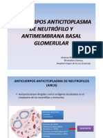 Charla 4. Anticuerpos Anticitoplasma de Neutrofilo y AntiMembrana Basal Glomerular