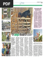 O campo invade a cidade