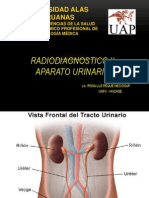 Radiodiagnostico Del Aparato Urinario