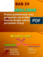 4-babiv-metabolisme