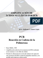 Clase03 1PCR