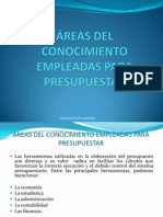 Areas Del Conocimiento Empleadas para Presupuestar y Areas Criticas Del Presupuesto