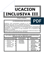 94026398 Educacion Inclusiva III Primer Producto