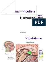 PP Hipotalamo hipofisis hormonas