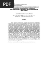 Download Efek Antioksidan Ekstrak Bulbus Bawang Dayak Eleutherine Palmifolia Pada Gambaran Histopatologis Paru-paru Tikus Yang Dipapar Asap Rokok by Riu Etsu Kazuo SN148344840 doc pdf