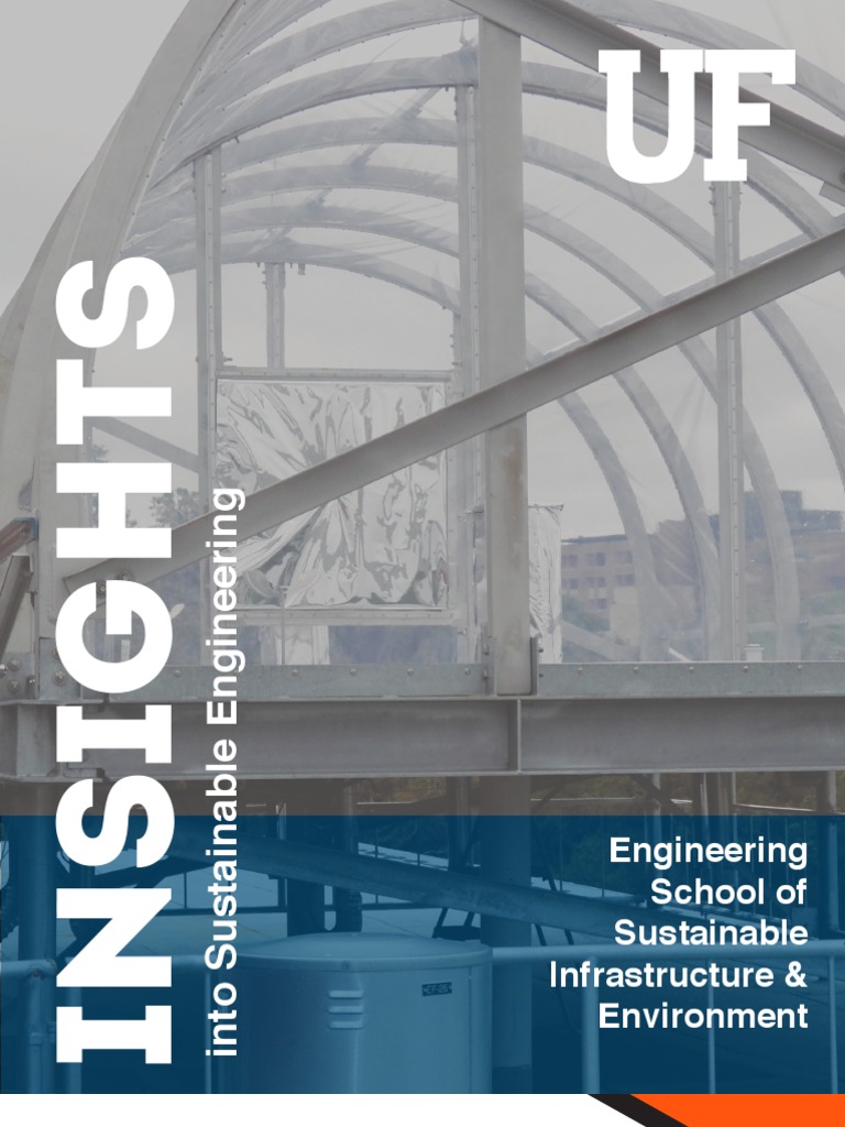 Insights Into Sustainable Engineering | PDF | Wetland | Flood