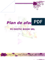 Business Plan FE Exotic Boom SRL