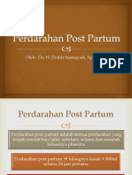 DR - Perdarahan Post Partum