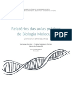 Relatórios de Biologia Molecular G5 T3