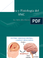 Anatomia Del Snc
