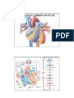 Autran JR - Fisiologia Humana - Cardiovascular