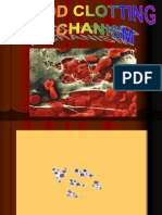 Sub 1.3 - Blood Clot Mechanism