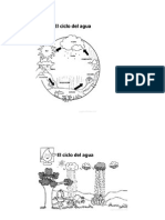 Ciclo Del Agua para Pintar