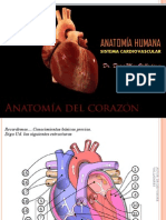 Sistema Cardiovascular