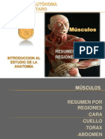 TEMA Musculos 2011