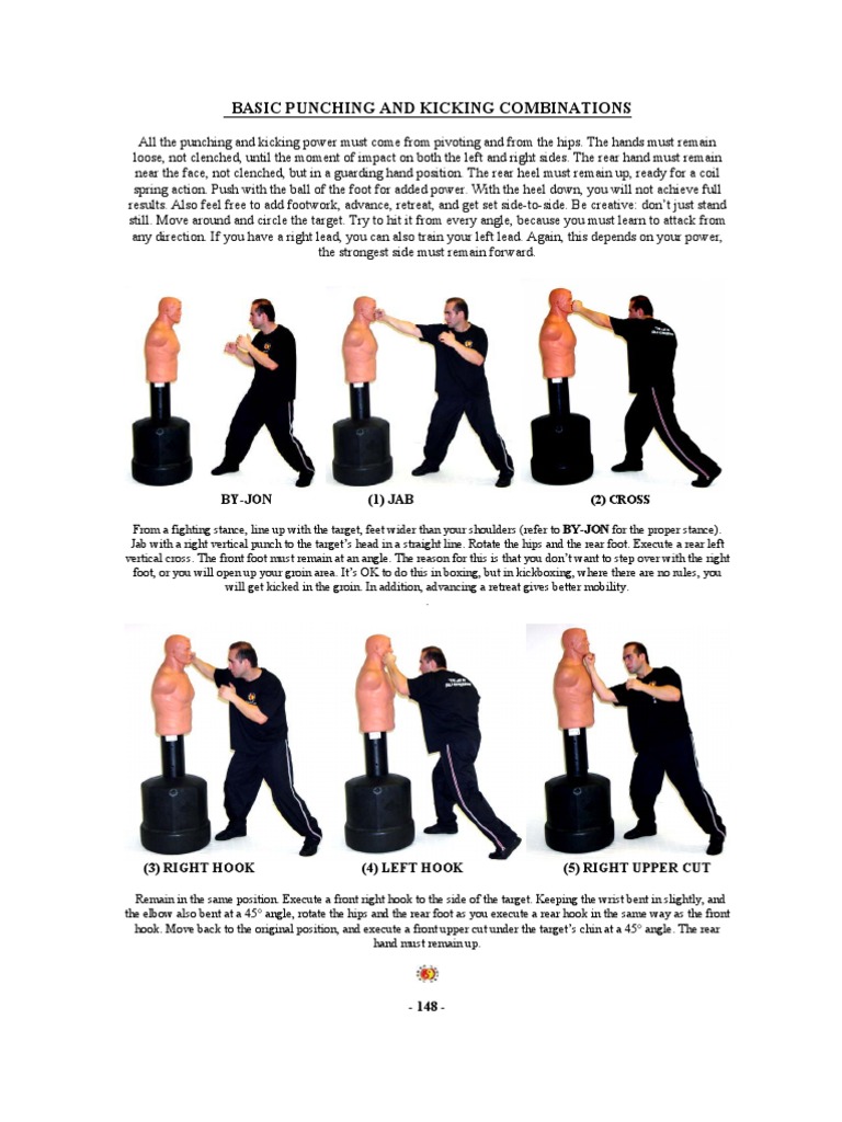 8 Boxing Series | PDF | Combat Sports | Combat