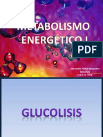 Metabolismo Energético I