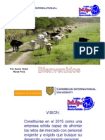 MODELO GERENCIAL COMERCIALIZADORA DELAIGRO.pdf