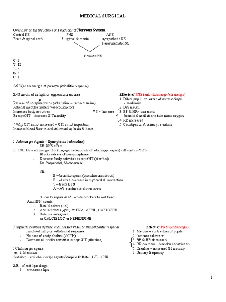 Ms Reviewer | PDF