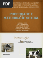 Puberdade E Maturidad Sexual 02