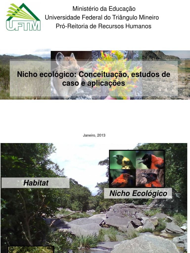 Aula Nicho Ecologico | PDF | Nicho ecológico | Ecologia
