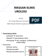 Pemeriksaan Klinis Urologi