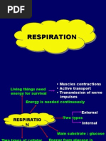 Download Respiration by debbycley SN14851097 doc pdf