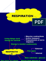 Respiration