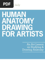 Download Human Anatomy Drawing for Artists by wakkun SN148516667 doc pdf