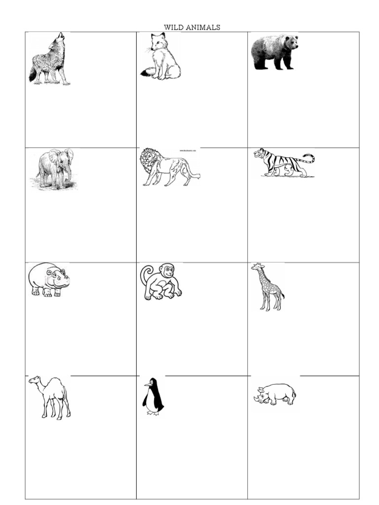 Wild and Domestic Animals Worksheet | PDF