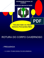 Traumatismo do pênis