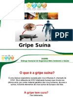DSSMS - Gripe Suína