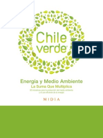 Chile Es Verde, 2010