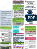 Triptico 02 Procesos Pedg y Cogn PDF