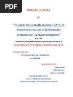 Download Project Report on Camels Model by poonamgarg7 SN14854096 doc pdf