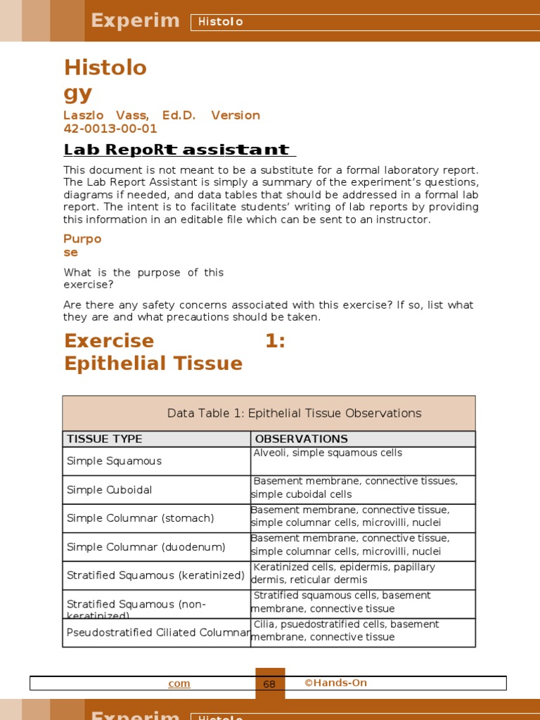 Histology Lab Epithelium Tissue (Biology)