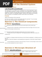 Lab 6 - Overview of The Skeletal System