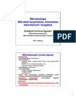 12-Mikrobak Laboratoriumi Vizsgalata 2010