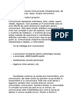 Tipuri de Comunicare Comunicarea Intrapersonala