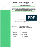 Comptabilite Des Operations Courantes PDF