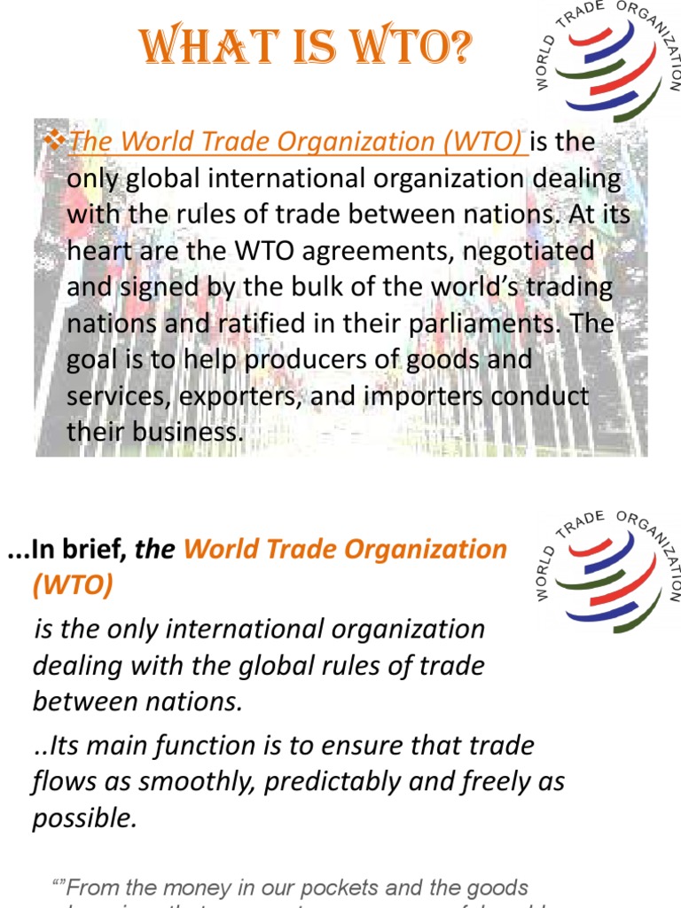 What Is The WTO, Eco. | PDF | Doha Development Round | World Trade ...
