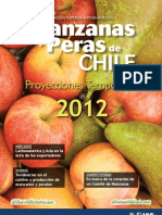 Manzanas Peras Chile e