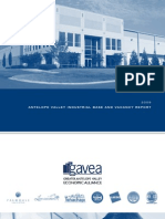 GAVEA Industrial Report 2009