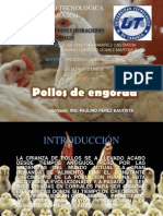 Agroindustrial Pollos1