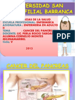 Diapositiva Cancer Del Pancreas
