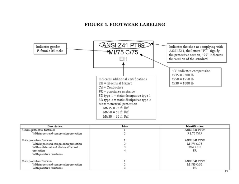 ANSI Z41 Safety Shoe Standards Explained | PDF